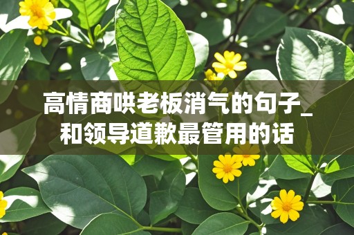 高情商哄老板消气的句子_和领导道歉最管用的话