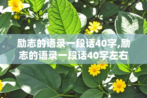 励志的语录一段话40字,励志的语录一段话40字左右