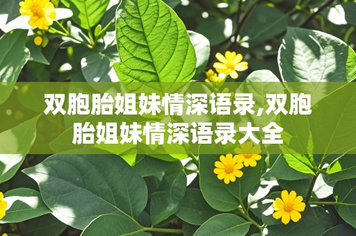 双胞胎姐妹情深语录,双胞胎姐妹情深语录大全