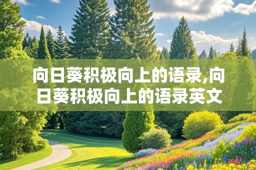 向日葵积极向上的语录,向日葵积极向上的语录英文