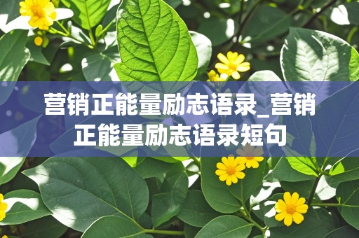 营销正能量励志语录_营销正能量励志语录短句