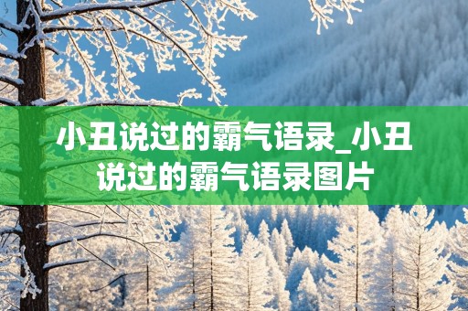 小丑说过的霸气语录_小丑说过的霸气语录图片