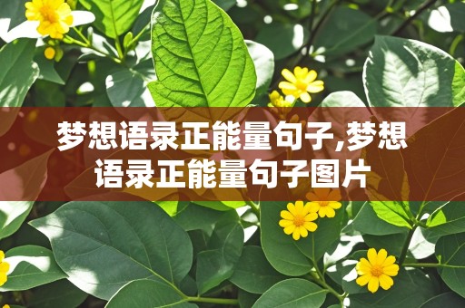 梦想语录正能量句子,梦想语录正能量句子图片