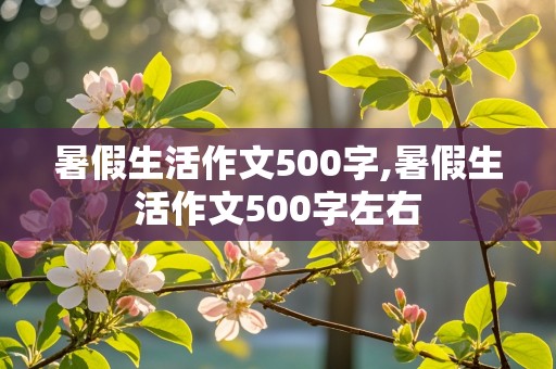 暑假生活作文500字,暑假生活作文500字左右