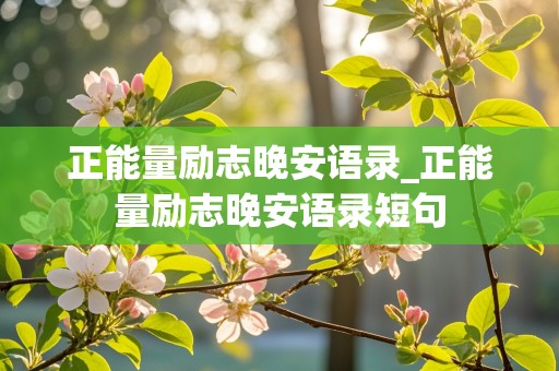 正能量励志晚安语录_正能量励志晚安语录短句