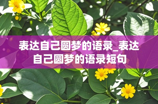 表达自己圆梦的语录_表达自己圆梦的语录短句