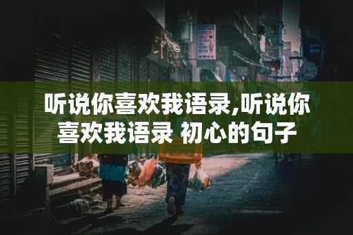 听说你喜欢我语录,听说你喜欢我语录 初心的句子