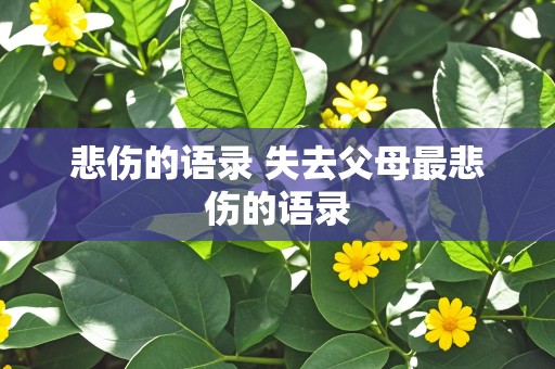 悲伤的语录 失去父母最悲伤的语录