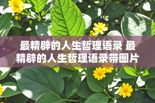 最精辟的人生哲理语录 最精辟的人生哲理语录带图片