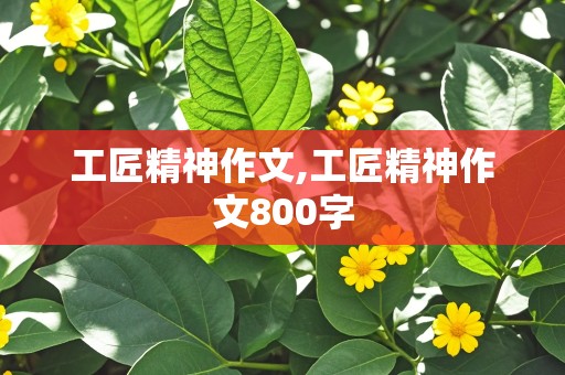 工匠精神作文,工匠精神作文800字