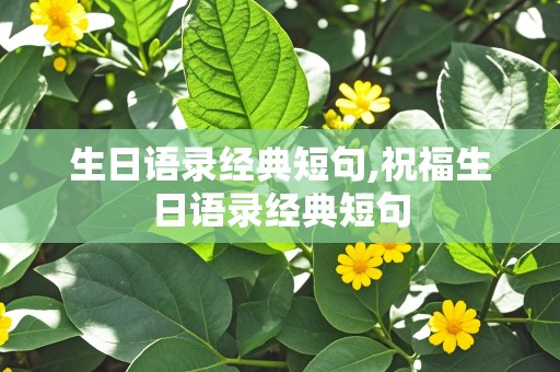 生日语录经典短句,祝福生日语录经典短句