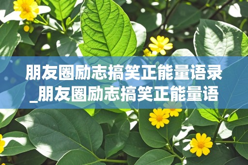 朋友圈励志搞笑正能量语录_朋友圈励志搞笑正能量语录短句