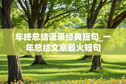 年终总结语录经典短句_一年总结文案最火短句