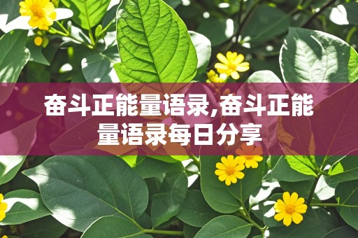 奋斗正能量语录,奋斗正能量语录每日分享