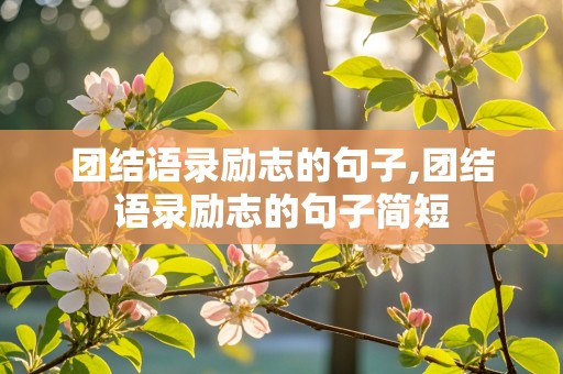 团结语录励志的句子,团结语录励志的句子简短