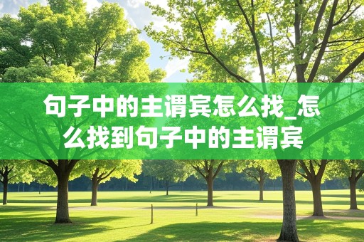 句子中的主谓宾怎么找_怎么找到句子中的主谓宾