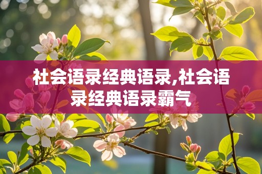 社会语录经典语录,社会语录经典语录霸气