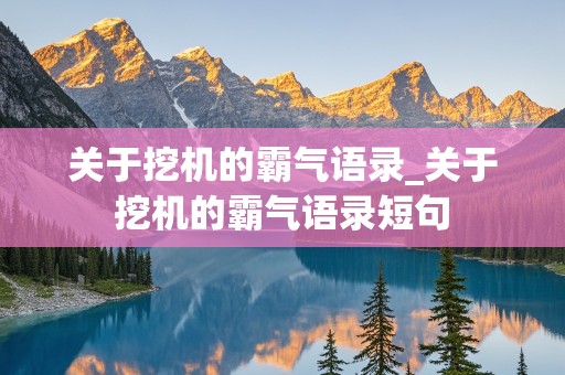 关于挖机的霸气语录_关于挖机的霸气语录短句