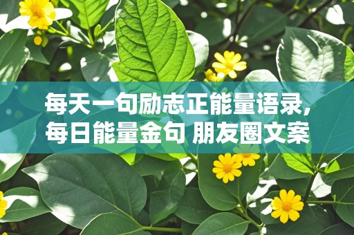 每天一句励志正能量语录,每日能量金句 朋友圈文案