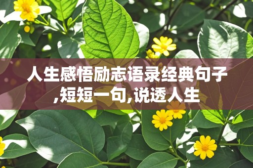 人生感悟励志语录经典句子,短短一句,说透人生