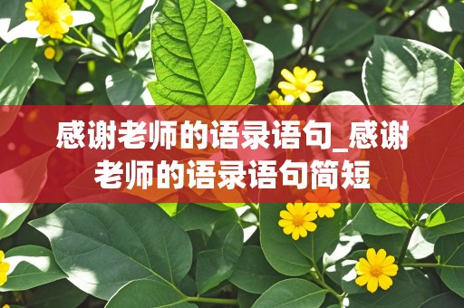 感谢老师的语录语句_感谢老师的语录语句简短