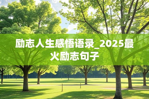 励志人生感悟语录_2025最火励志句子