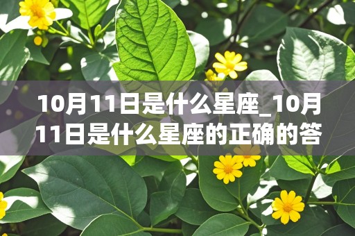 10月11日是什么星座_10月11日是什么星座的正确的答案