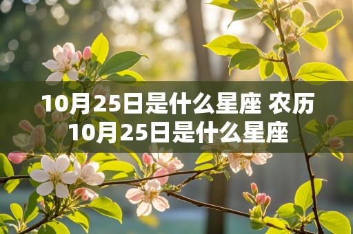 10月25日是什么星座 农历10月25日是什么星座