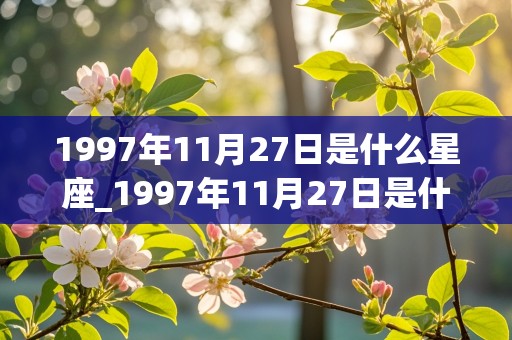 1997年11月27日是什么星座_1997年11月27日是什么星座农历