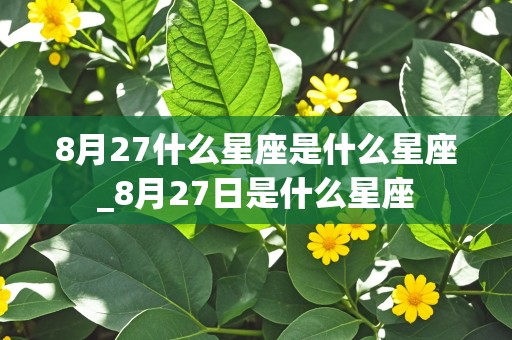 8月27什么星座是什么星座_8月27日是什么星座