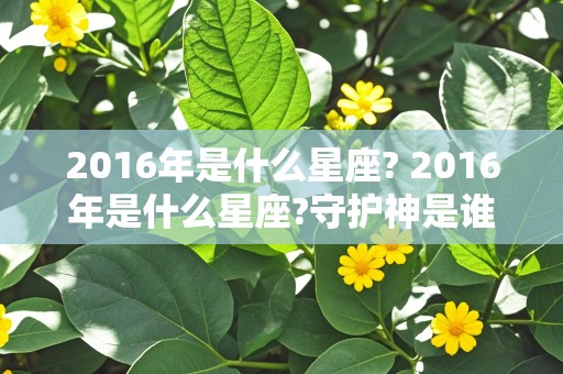 2016年是什么星座? 2016年是什么星座?守护神是谁