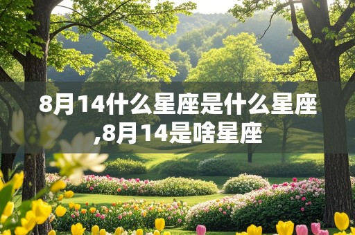 8月14什么星座是什么星座,8月14是啥星座