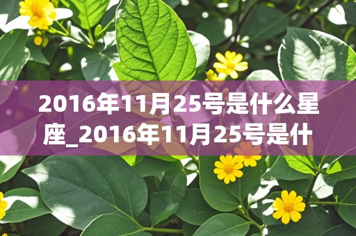 2016年11月25号是什么星座_2016年11月25号是什么星座的