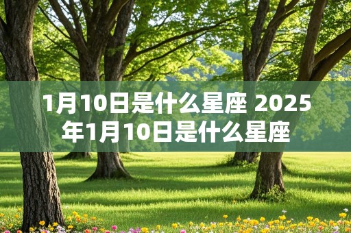 1月10日是什么星座 2025年1月10日是什么星座