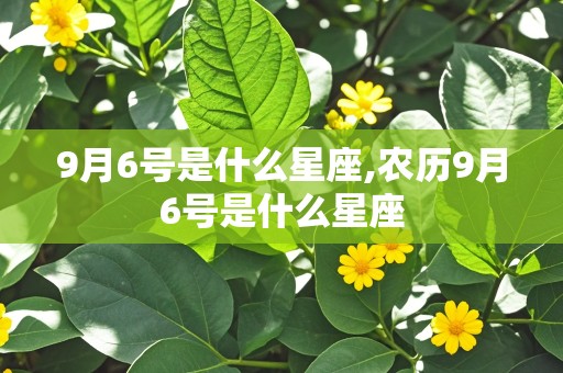 9月6号是什么星座,农历9月6号是什么星座