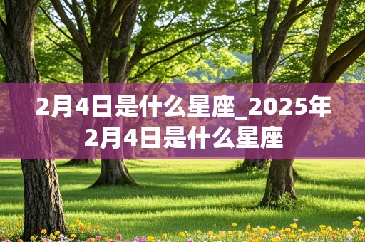 2月4日是什么星座_2025年2月4日是什么星座