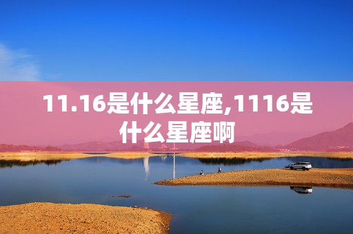 11.16是什么星座,1116是什么星座啊