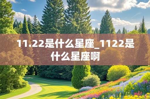 11.22是什么星座_1122是什么星座啊