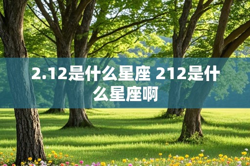 2.12是什么星座 212是什么星座啊