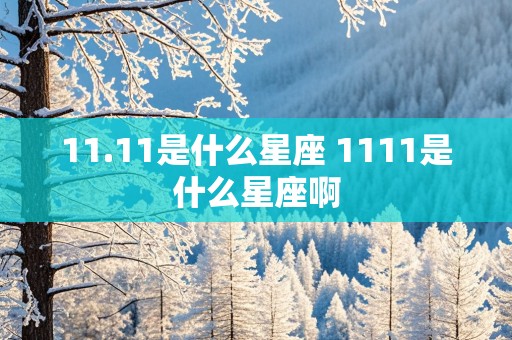 11.11是什么星座 1111是什么星座啊