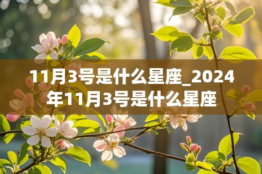 11月3号是什么星座_2024年11月3号是什么星座