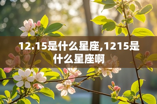 12.15是什么星座,1215是什么星座啊