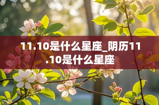 11.10是什么星座_阴历11.10是什么星座