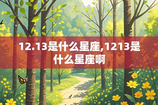 12.13是什么星座,1213是什么星座啊