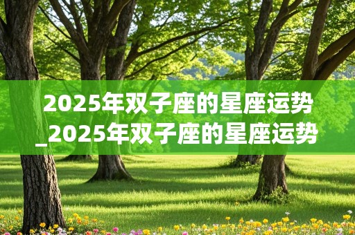 2025年双子座的星座运势_2025年双子座的星座运势如何