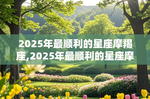 2025年最顺利的星座摩羯座,2025年最顺利的星座摩羯座是什么