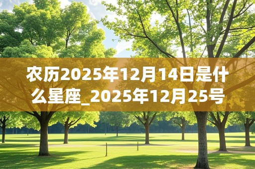 农历2025年12月14日是什么星座_2025年12月25号农历是什么?