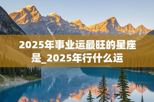 2025年事业运最旺的星座是_2025年行什么运