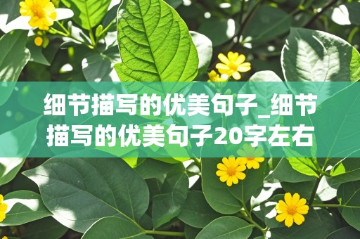 细节描写的优美句子_细节描写的优美句子20字左右