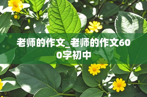 老师的作文_老师的作文600字初中